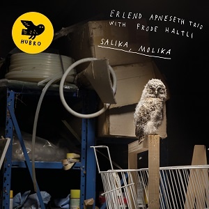 [alternative folk] (2019) Erlend Apneseth Trio with Frode Haltli - Salika, Molika [FLAC,Tracks] [DarkAngie]