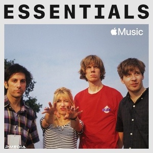 Sonic Youth - Essentials (2022) Mp3 320kbps [PMEDIA] ⭐️
