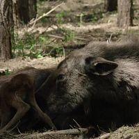 Europes.Hidden.Wonders.S01E01.720p.HDTV.x264-CBFM[TGx]