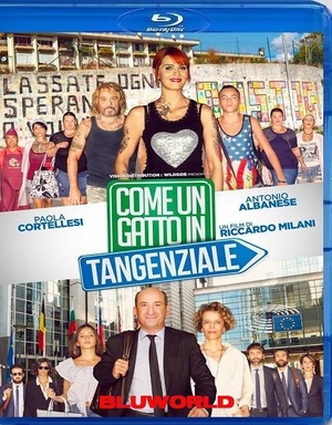 Come Un Gatto In Tangenziale 2017 iTALiAN BRRip XviD BLUWORLD