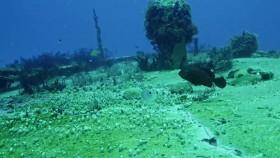 Reef Wrecks S01E05 Mexicos Artificial Reefs WEB h264-CAFFEiNE [eztv]