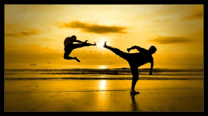 [ FreeCourseWeb ] Udemy - Martial Arts Workout Routines - Daily Training & Exercise