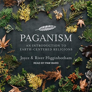 Paganism: An Introduction to Earth-Centered Religions - Joyce Higginbotham, River Higginbotham