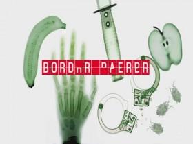 Border Patrol S12E04 480p x264-mSD [eztv]