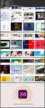[ DevCourseWeb ] Skillshare - UX Fundamentals For Graphic Designers - Build Your First App With Adobe XD