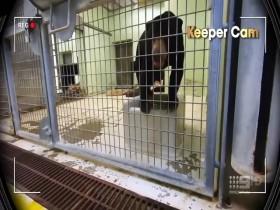 Taronga-Whos Who In The Zoo S01E10 480p x264-mSD [eztv]