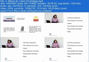 Udemy - Customer Experience for non-CX professionals