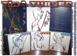 Tina Turner - The Collected Recordings - Sixties To Nineties (1994) (320) [DJ]