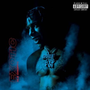 NLE Choppa – Exotic Rap 2020 Single [320] kbps Beats[TGx]⭐
