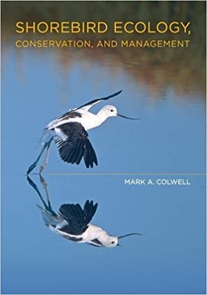 [ FreeCourseWeb ] Shorebird Ecology, Conservation, and Management