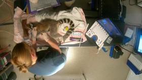 Inside Taronga Zoo S01E04 XviD-AFG [eztv]