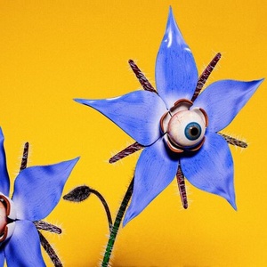 Barry Can’t Swim - More Content (2022) Mp3 320kbps [PMEDIA] ⭐️