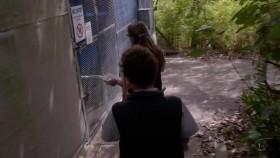 Inside Taronga Zoo S01E01 720p HDTV x264-FiHTV [eztv]