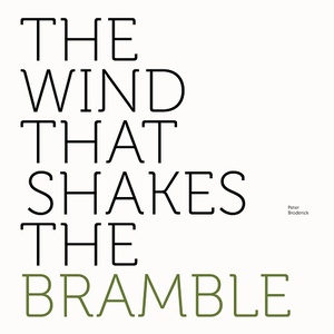 [alternative folk, ambient] (2021) Peter Broderick - The Wind That Shakes the Bramble [FLAC] [DarkAngie]