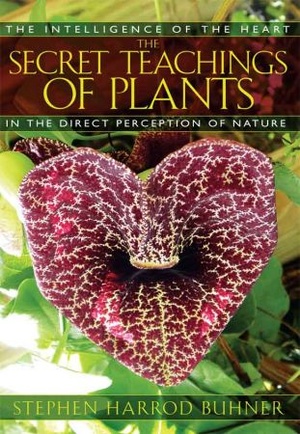 [ FreeCourseWeb ] The Secret Teachings of Plants- The Intelligence of the Heart in the Direct Perception of Nature