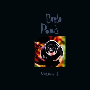 [post-rock, psychedelic rock] (2021) Bardo Pond - Volume 1 [FLAC] [DarkAngie]