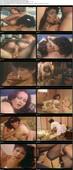 The Erotic World of Vanessa 1981 DVDRip x264 worldmkv