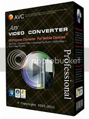 Any DVD Converter Professional 6.3.7 + Serials [FUGITIVE]