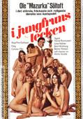 I.JomFruens.Tegn.1973.DVDRip.x264-worldmkv