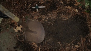 Seduction Theory (2014) [1080p] [WEBRip] [2.0] [YTS] [YIFY]