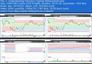 [ FreeCourseWeb ] Udemy - Fibonacci Trading Retracement Ninja - Complete DIY Trading