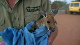 Great Australian Railway Journeys S01E01 Port Augusta To Darwin The Ghan 720p HDTV x264-BRiTiSHB00Bs [eztv]