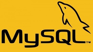 [ CourseWikia ] Udemy - MYSQL Queries- Basic to Advanced Level for Professionals