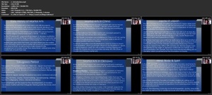 Udemy - Martial Arts Masters