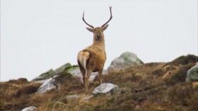 Earth Odyssey with Dylan Dreyer S01E02 WEB x264-CookieMonster [eztv]