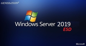 Windows Server 2019 Standard en-US NOV 2022 {Gen2}