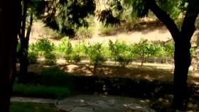 House Hunters S162E04 Bay Area Wow Factor WEB x264-CAFFEiNE [eztv]