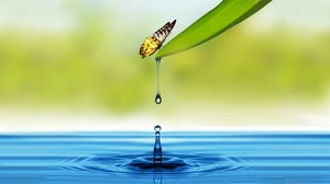 Udemy - Mini Habit Mastery: The Scientific Way To Change Your Habits [Course Drive]