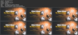 Udemy - Elliott Wave - The Macro Trader