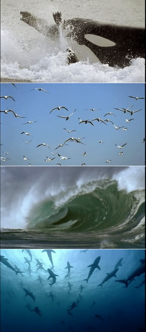 Lucky.Hank.S01E06.WEBRip.x264-XEN0N