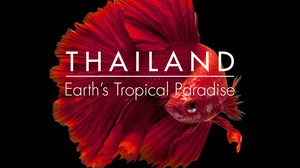 Thailand: Earth's Tropical Paradise S01E03 [BBC 1080p HEVC] ~HR-DR