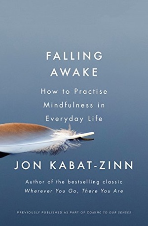 Falling Awake: How to Practice Mindfulness in Everyday Life