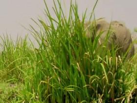 Rivers Of Life S01E01 480p x264-mSD [eztv]