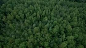 Unearthed 2016 S06E06 Hitlers Lost Bunker WEBRip x264-CAFFEiNE [eztv]