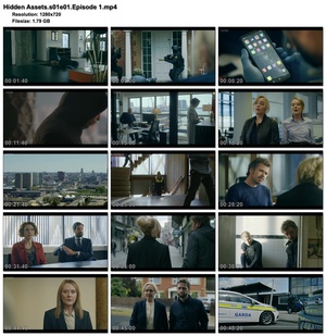 Hidden Assets S01 complete (1280x720p HD, 50fps, soft Eng subs)