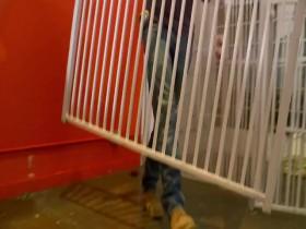 My Cat From Hell S08E10 A Brave New Cat World 480p x264-mSD [eztv]