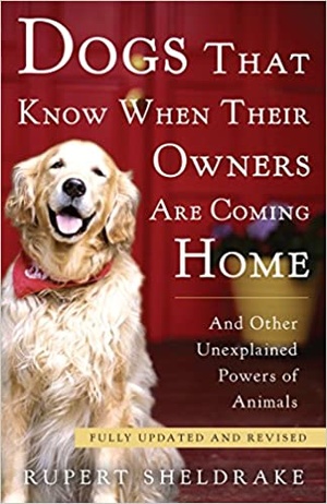 [ FreeCourseWeb ] Dogs That Know When Their Owners Are Coming Home - Fully Updated and Revised