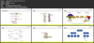 Udemy - Practical Bioinformatics I 2021