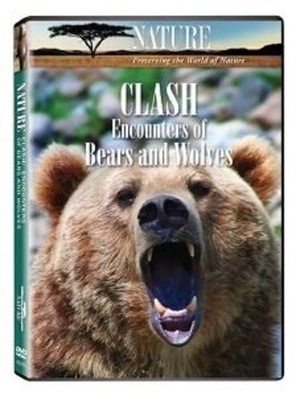 Nature S28E06 Clash: Encounters of Bears and Wolves 720p.10bit.BluRay.x265-budgetbits