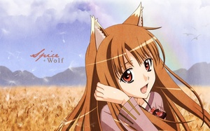 Spice and Wolf (S1+S2+OVA+Specials) [Dual Audio] [1080p HD]