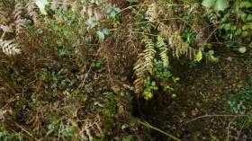 Sinkholes-Swallowed Alive S01E01 Florida Hell Hole WEBRip x264-CAFFEiNE [eztv]