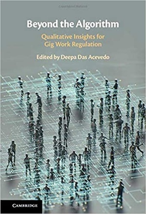[ DevCourseWeb ] Beyond the Algorithm - Qualitative Insights for Gig Work Regulation