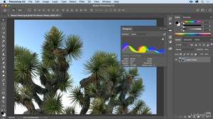 Lynda - Photoshop for Teaching and Learning