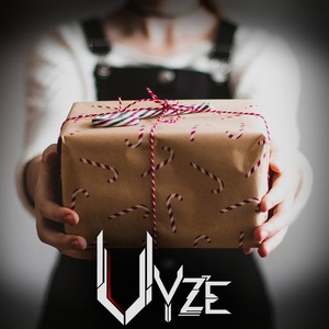 Vyze's Christmas Special 2020 (Split + Mix) (320kbps)