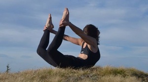 [ FreeCourseWeb ] Udemy - Wellness Gymnastics Program DIR