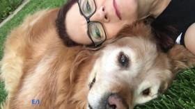 Lucky Dog S06E19 Rhea HDTV x264-W4F [eztv]